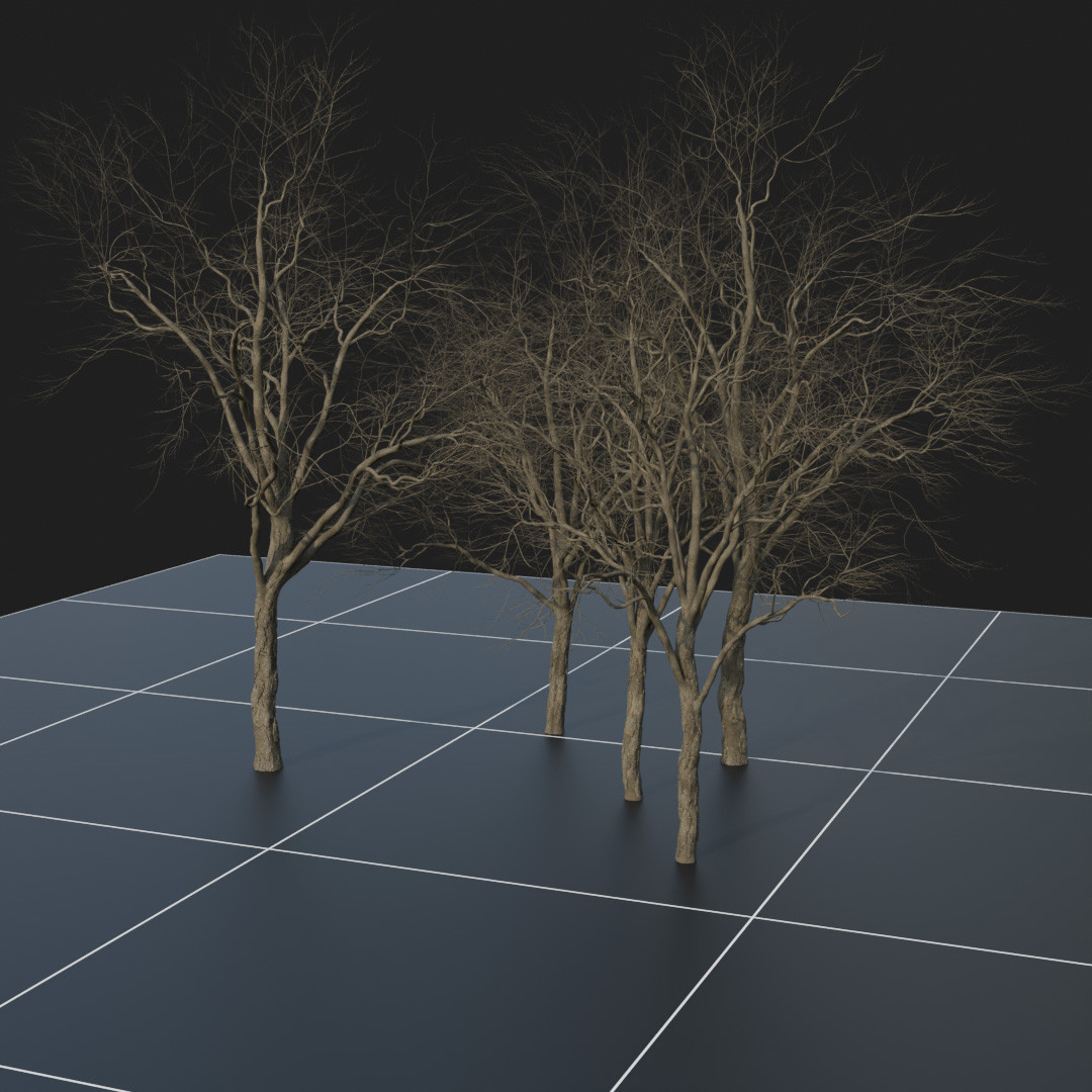 OakTree_Dead