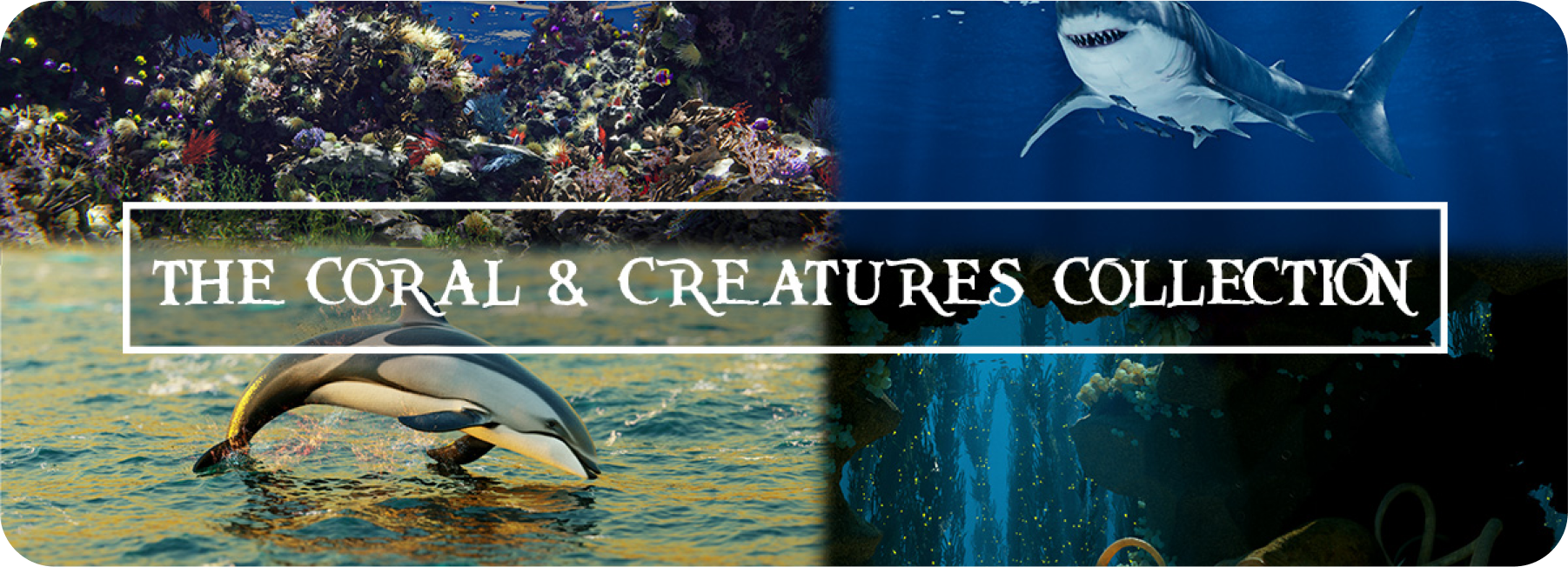 The Coral - Creatures Collection